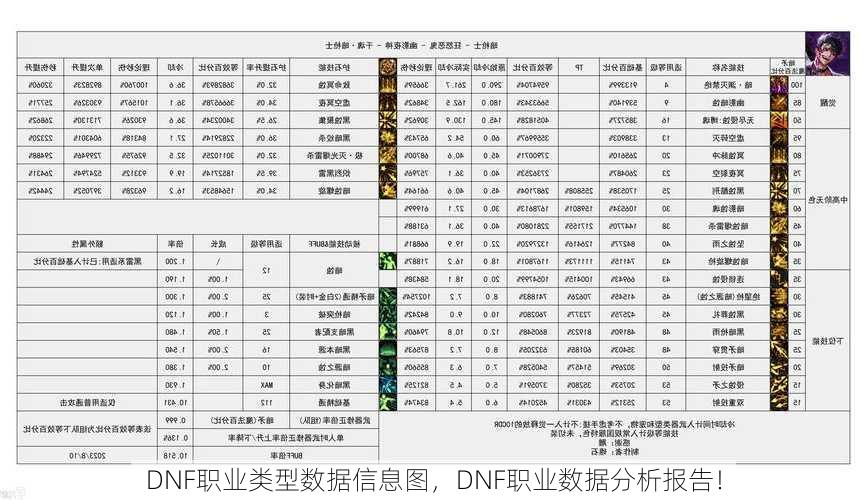 DNF职业类型数据信息图，DNF职业数据分析报告！