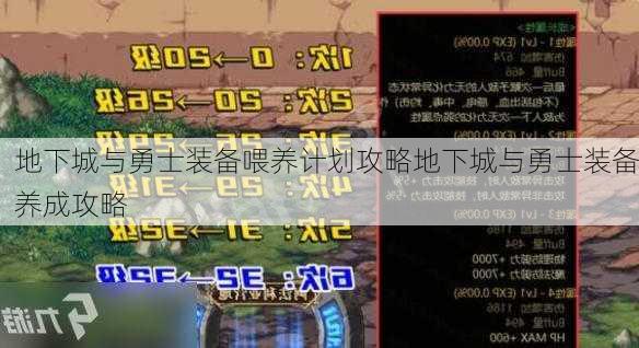 地下城与勇士装备喂养计划攻略地下城与勇士装备养成攻略  第2张