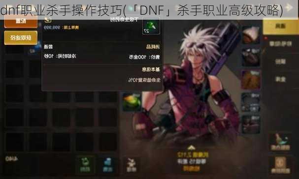 dnf职业杀手操作技巧(「DNF」杀手职业高级攻略)