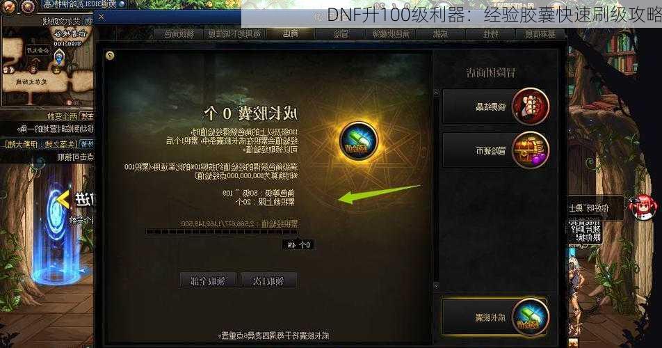 DNF升100级利器：经验胶囊快速刷级攻略  第2张