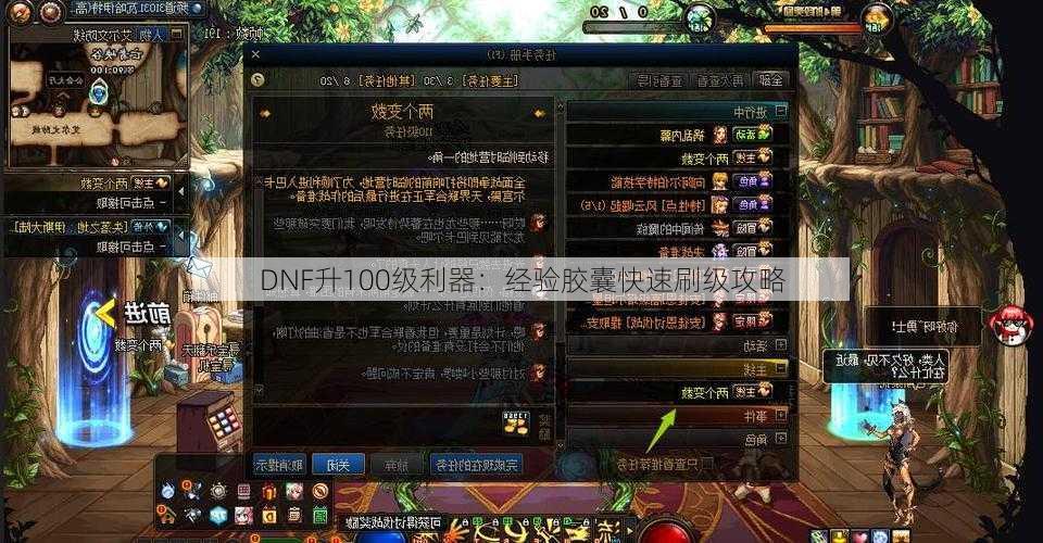 DNF升100级利器：经验胶囊快速刷级攻略  第1张