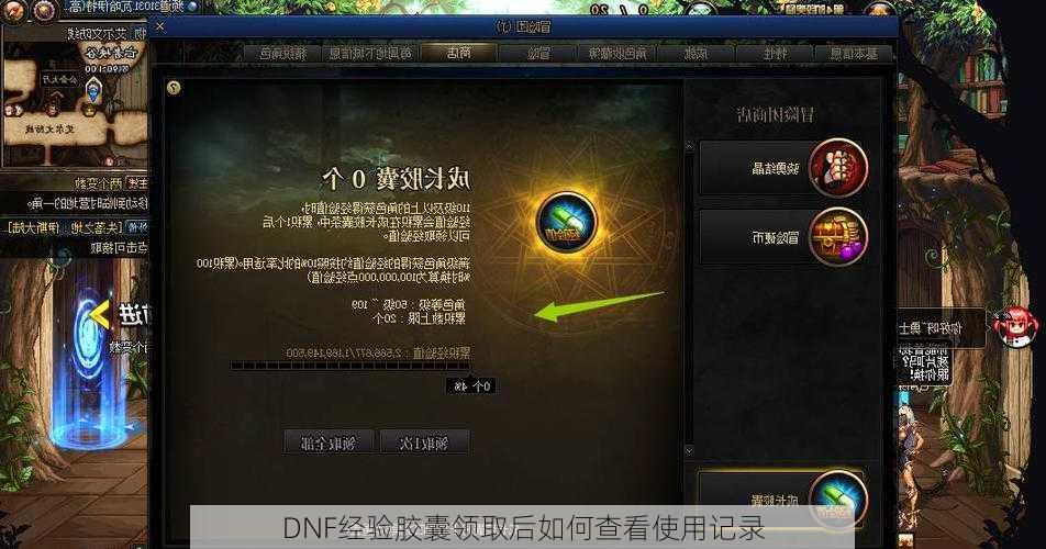 DNF经验胶囊领取后如何查看使用记录