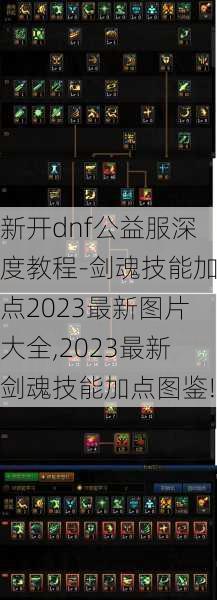 新开dnf公益服深度教程-剑魂技能加点2023最新图片大全,2023最新剑魂技能加点图鉴!